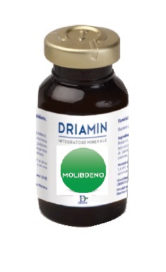DRIAMIN MOLIBDENO 15 ML - fitfarma.it