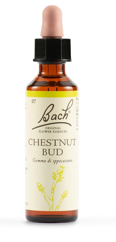 CHESTNUT BUD BACH ORIG 20 ML - fitfarma.it