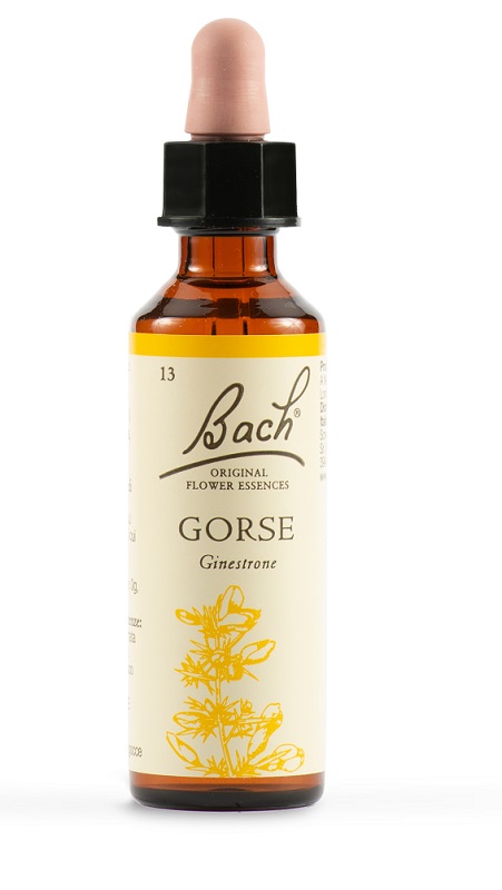 GORSE BACH ORIG 20 ML - fitfarma.it