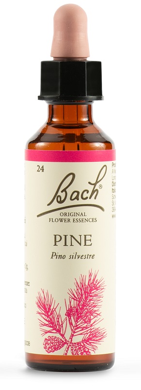 PINE BACH ORIG 20 ML - fitfarma.it