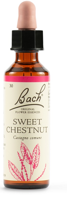 SWEET CHEST BACH ORIG 20 ML - fitfarma.it