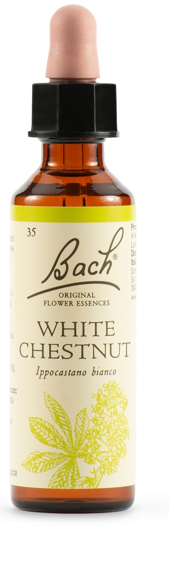 WHITE CHEST BACH ORIG 20 ML - fitfarma.it