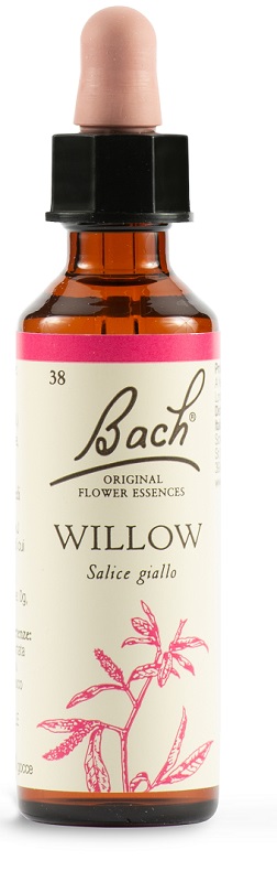 WILLOW BACH ORIG 20 ML - fitfarma.it