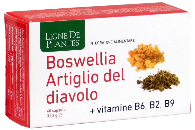 BOSWELLIA ARTIGLIO DIAVOLO VITAMINE B2 B6 B9 60 CAPSULE - fitfarma.it
