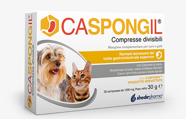 CASPONGIL 30 COMPRESSE DIVISIBILI - fitfarma.it