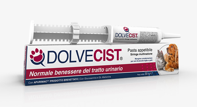 DOLVECIST PASTA SIRINGA 30 G - fitfarma.it