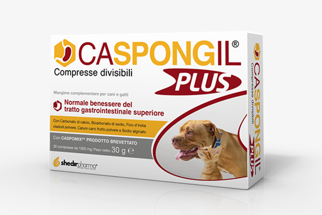 CASPONGIL PLUS 30 COMPRESSE - fitfarma.it