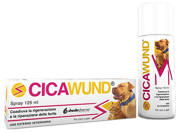 CICAWUND SPRAY 125 ML - fitfarma.it