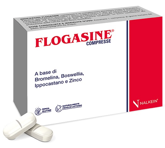FLOGASINE 20 COMPRESSE - fitfarma.it