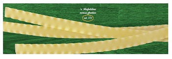 E MAFALDINE 500 G - fitfarma.it