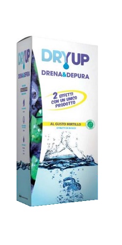 DRYUP MIRTILLO 300 ML - fitfarma.it