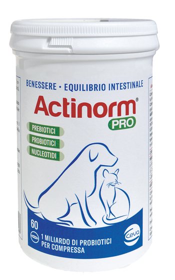 ACTINORM PRO FLACONE 60 COMPRESSE - fitfarma.it
