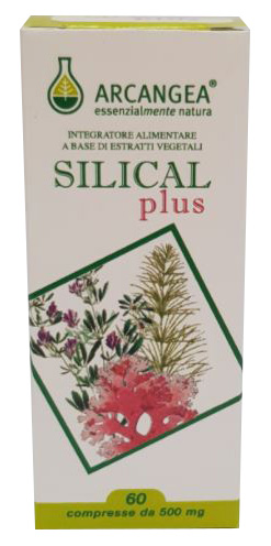 SILICAL PLUS 60 COMPRESSE - fitfarma.it
