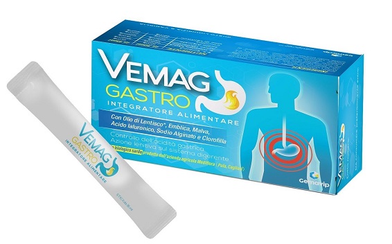 VEMAG GASTRO 20 STICK - fitfarma.it