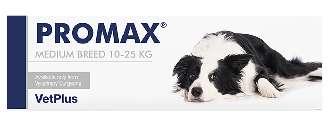 PROMAX MEDIUM BREED 18 ML - fitfarma.it