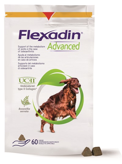 FLEXADIN ADVANCED CANE TUTTE LE TAGLIE 60 TAVOLETTE APPETIBILI - fitfarma.it