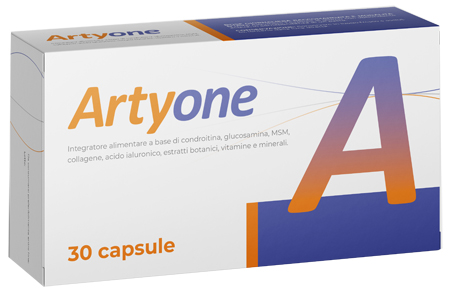 ARTYONE 30 CAPSULE - fitfarma.it