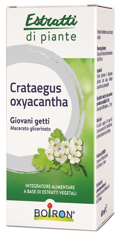 CRATAEGUS OXYACANTHA MACERATO GLICERICO 60 ML INT - fitfarma.it