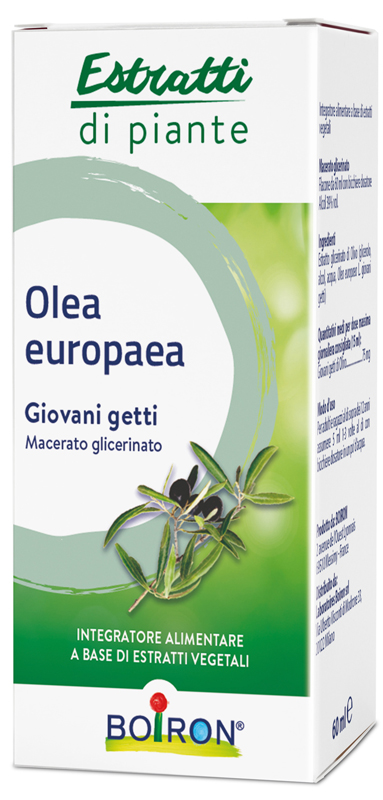 OLEA EUROPAEA MACERATO GLICERICO 60 ML INT - fitfarma.it