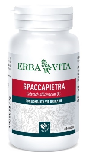 SPACCAPIETRA 60 CAPSULE - fitfarma.it