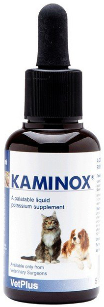 KAMINOX SCIROPPO 60 ML - fitfarma.it