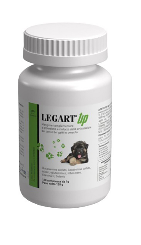 LEGART UP 120 COMPRESSE - fitfarma.it