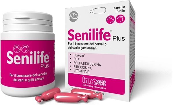 SENILIFE PLUS 60 CAPSULE - fitfarma.it