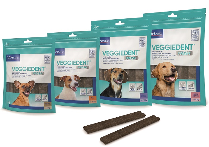 VEGGIEDENT FR3SH S 15 STICK - fitfarma.it
