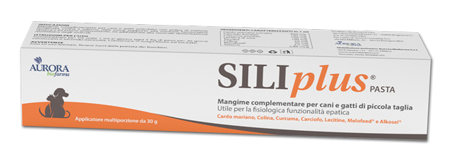 SILIPLUS PASTA 30 G - fitfarma.it